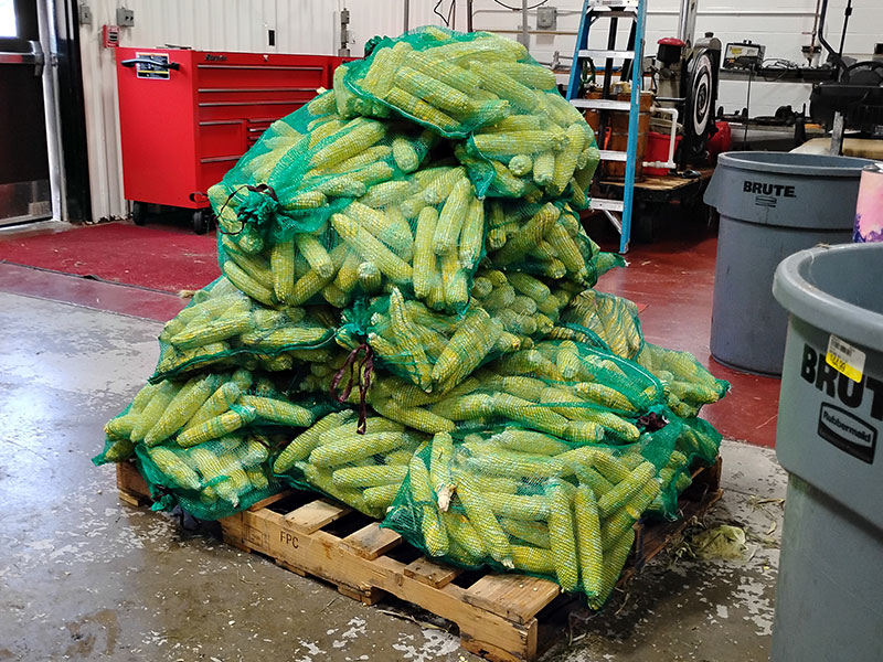 large bags of corn on a palatte in a warehouse