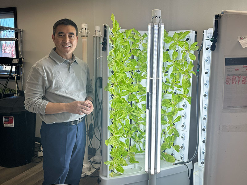 man with hydroponic garden growing greens