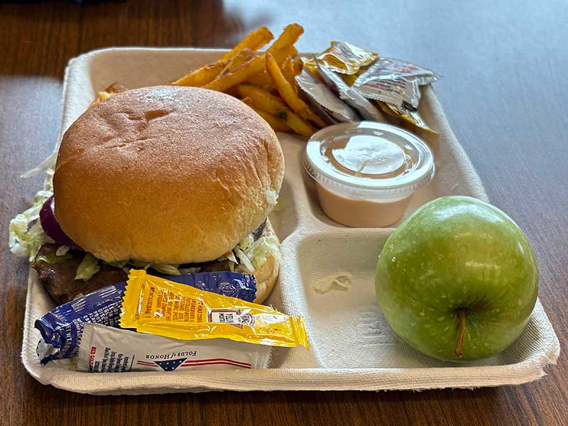 Tray of lunch including burger, fries, apple and packets of condiments.