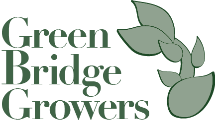 Cultivadores de Green Bridge