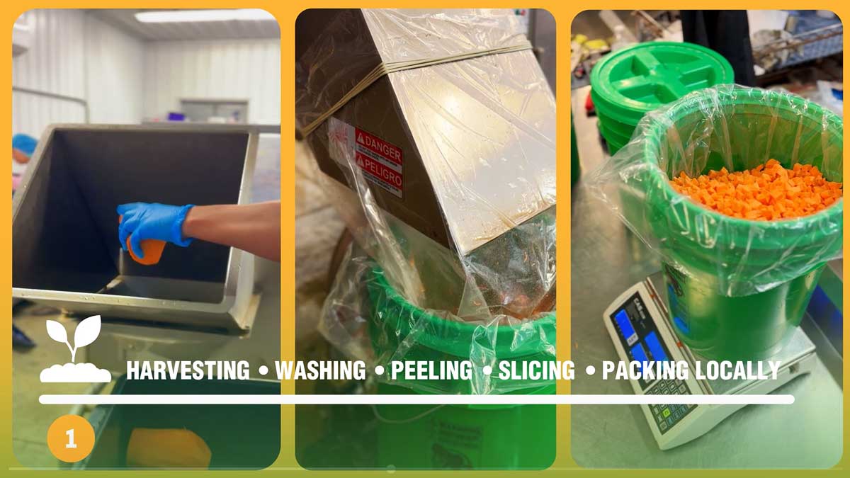 processing vegetables: harvesting, washing, peeling, slicing, packing locally