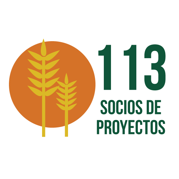 113 socios de proyectos