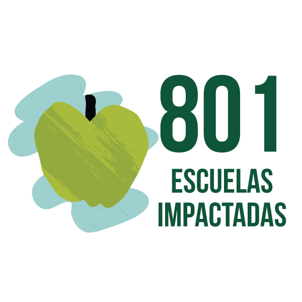 801 escuelas impactadas